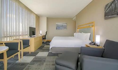 Holiday Inn Express Mexico Reforma - 91