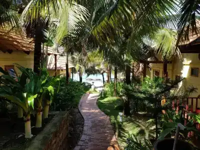 Free Beach Resort - 141