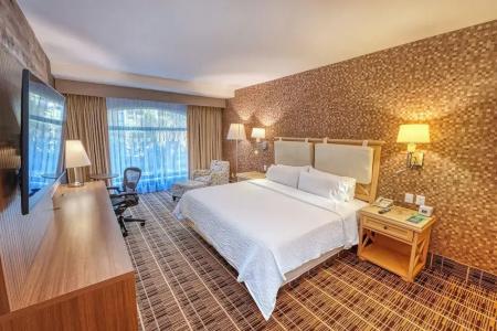 Holiday Inn Queretaro Centro Historico, An Ihg - 125