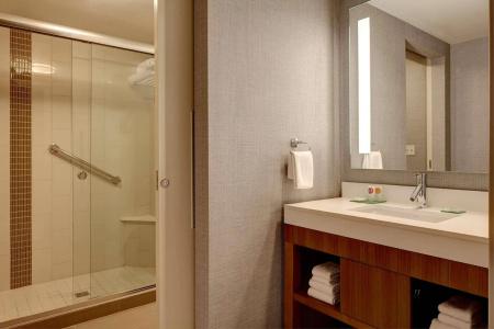 Embassy Suites - 8