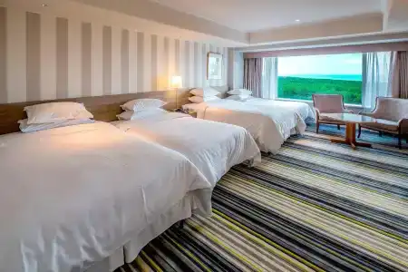 Sheraton Grande Ocean Resort - 63