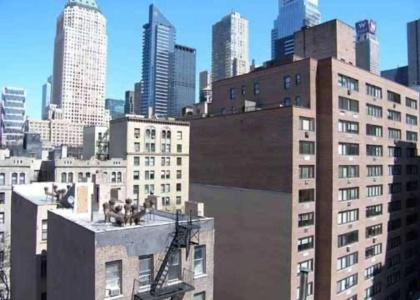 Ramada by Wyndham New York Times Square West - 13