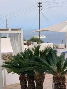 Boutique b&b Bettola Del Re - 51