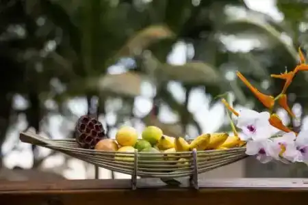 Domaine Desaubin Luxury Villas - 15
