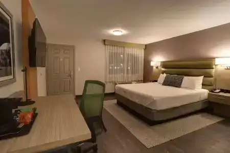 GreenTree - 32