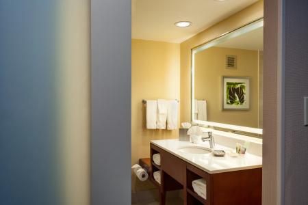 Holiday Inn Austin -Town Lake, An Ihg - 8