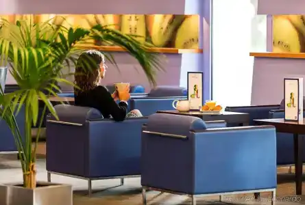 Novotel Nice Arenas Aeroport - 26