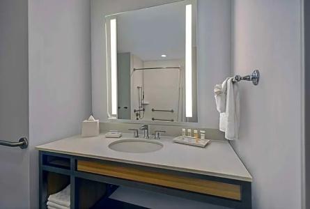 Hilton Garden Inn Houston Medical Center, Tx - 69