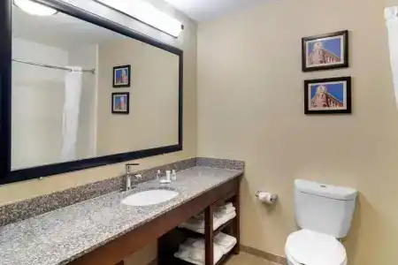 Comfort Inn & Suites North I-75 - 29