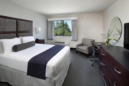 Maple Tree Inn - 25
