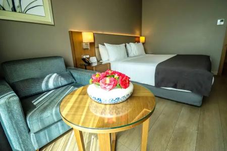 Holiday Inn Bursa - City Centre, An Ihg - 87