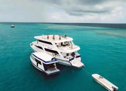 The Maverick Surf and Dive Boutique - 26