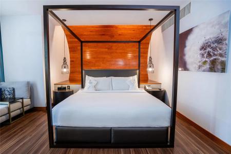 Doubletree By Hilton Mexico City Santa Fe - 43