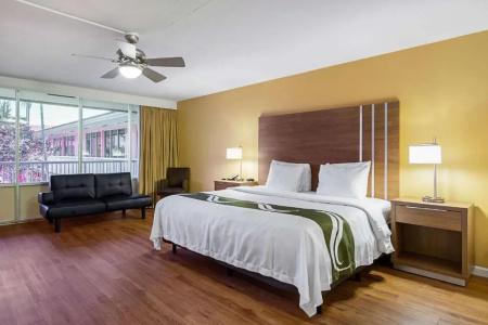 Quality Inn & Suites Airport - Cruise Port Hollywood - 32
