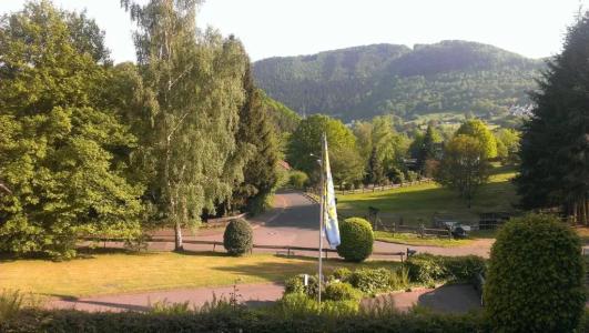 Pension Haus Diefenbach - 1