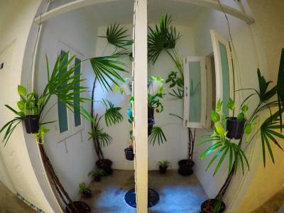 Chino Town Gallery Alley - Sha Plus - 10