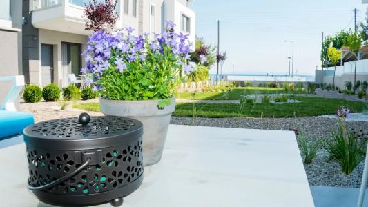Costa Domus Blue Luxury - 67