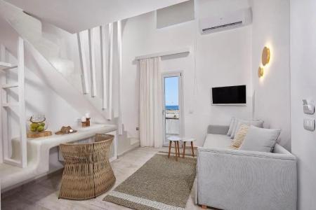 Petri Suites - 13
