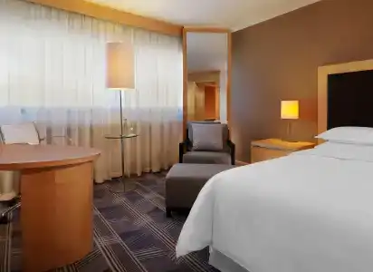 Sheraton Frankfurt Airport & Conference Center - 17