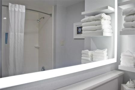 Hampton Inn & Suites Denver-Speer Boulevard - 31
