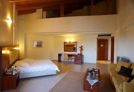 Parnis Palace - 27