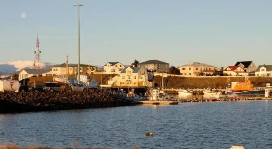 Höfn Inn - 15