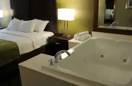 Best Western Plaza Inn - 80