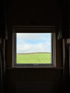 The Fox Hostel - 11