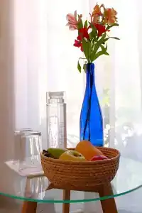 Mamá Carlota - 66