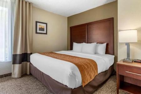 Comfort Inn Charlotte Airport Uptown - 68