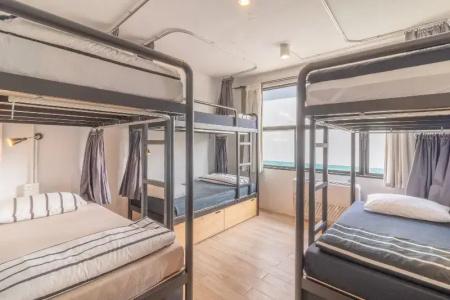 Beige Poshtels + Netflix - 36