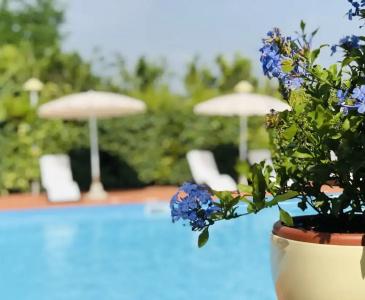 Lavinia b&b - 11