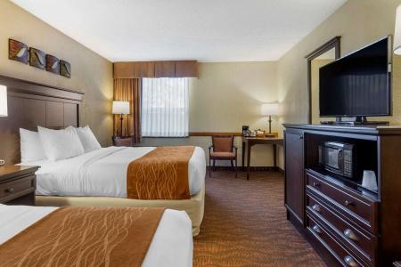 Comfort Inn at Thousand Hills - 53
