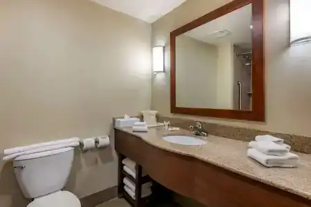 Comfort Suites Orlando Airport - 9