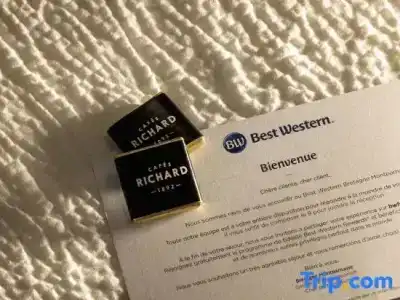 Best Western Bretagne Montparnasse - 90