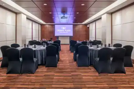 Crowne Plaza Jaipur Tonk Road, An Ihg - 16