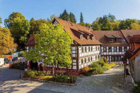Goldener Hirsch - 13