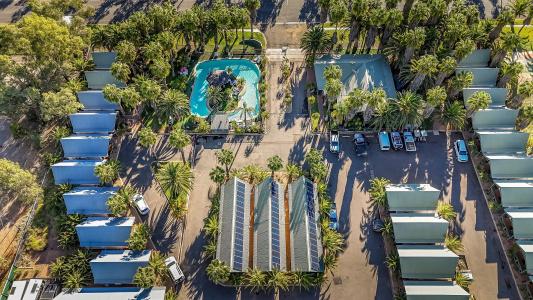 Desert Palms - 9
