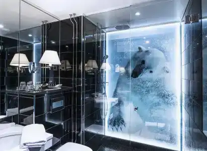Arctic Light - 10
