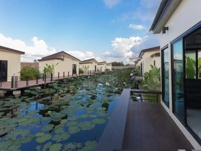 Bua Tara Resort - 51