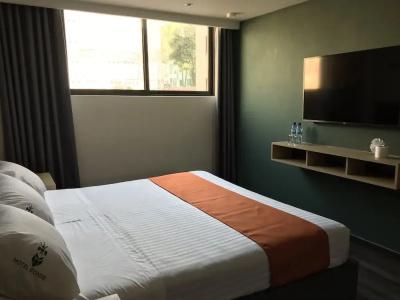 Conde Alameda CDMX - 5