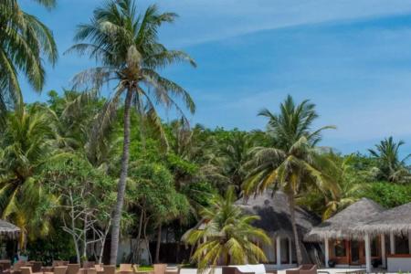 Palm Beach Island Resort & Spa Maldives - 41
