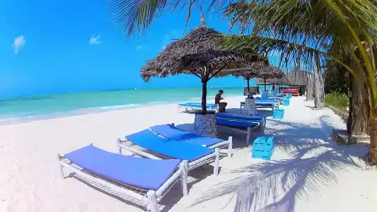 Waikiki Zanzibar - 4