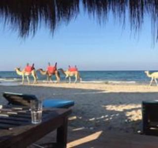 Djerba Orient - 18