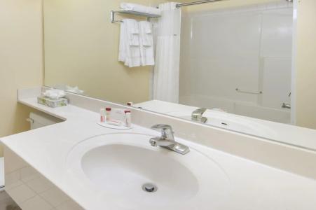 Ramada Plaza Airport and Conference Centre - 7