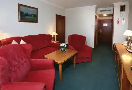 Ensana Thermal Hévíz - 61