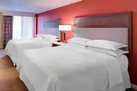 Sheraton Sand Key - 47