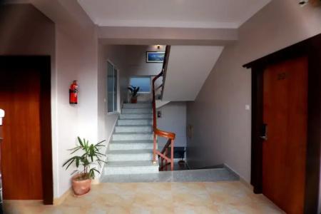 Eco Tree - 13