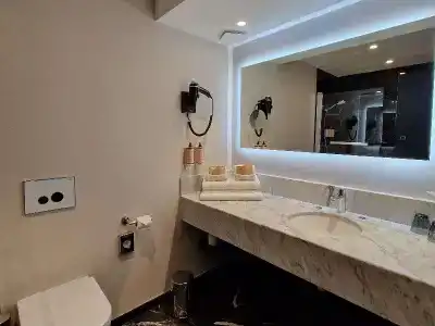 Mercure Orléans Centre Bords de Loire - 92