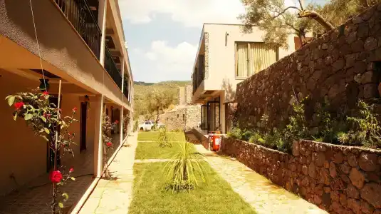 Assos Longevity - 9